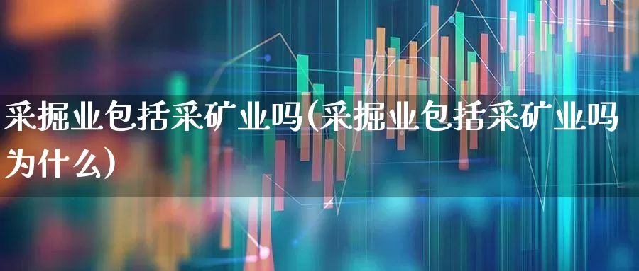 采掘业包括采矿业吗(采掘业包括采矿业吗为什么)_https://www.hangfeite.com_科创板_第1张
