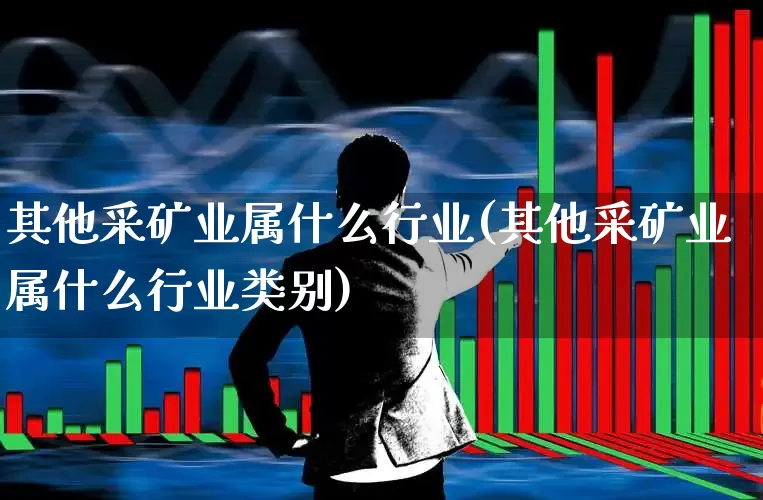 其他采矿业属什么行业(其他采矿业属什么行业类别)_https://www.hangfeite.com_北交所_第1张