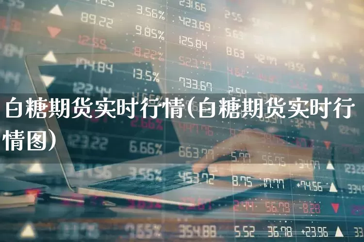 白糖期货实时行情(白糖期货实时行情图)_https://www.hangfeite.com_上交所_第1张