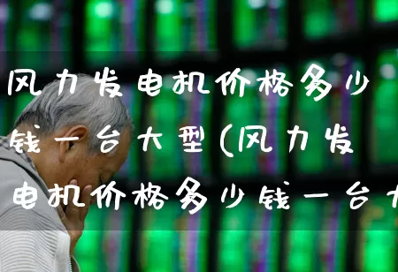 风力发电机价格多少钱一台大型(风力发电机价格多少钱一台大型机器)_https://www.hangfeite.com_深交所_第1张