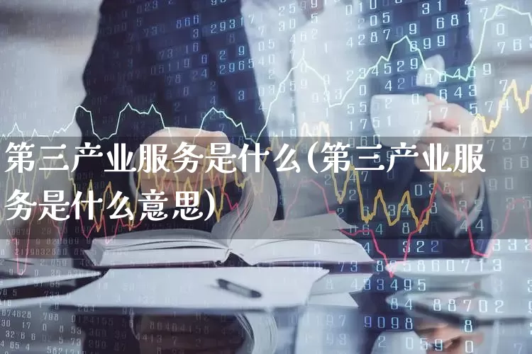 第三产业服务是什么(第三产业服务是什么意思)_https://www.hangfeite.com_上交所_第1张