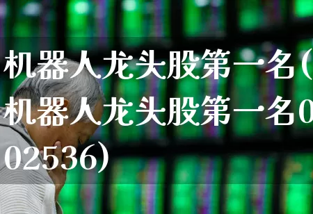 机器人龙头股第一名(机器人龙头股第一名002536)_https://www.hangfeite.com_北交所_第1张