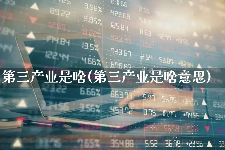 第三产业是啥(第三产业是啥意思)_https://www.hangfeite.com_科创板_第1张