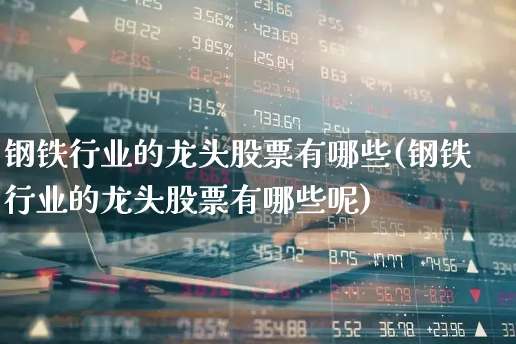 钢铁行业的龙头股票有哪些(钢铁行业的龙头股票有哪些呢)_https://www.hangfeite.com_创业板_第1张