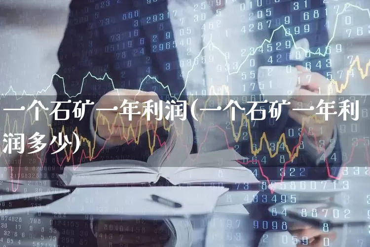 一个石矿一年利润(一个石矿一年利润多少)_https://www.hangfeite.com_创业板_第1张
