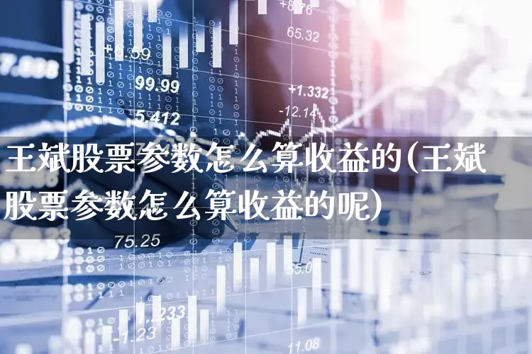 王斌股票参数怎么算收益的(王斌股票参数怎么算收益的呢)_https://www.hangfeite.com_科创板_第1张