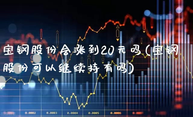 宝钢股份会涨到20元吗(宝钢股份可以继续持有吗)_https://www.hangfeite.com_深交所_第1张