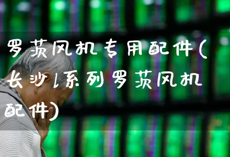 罗茨风机专用配件(长沙l系列罗茨风机配件)_https://www.hangfeite.com_创业板_第1张