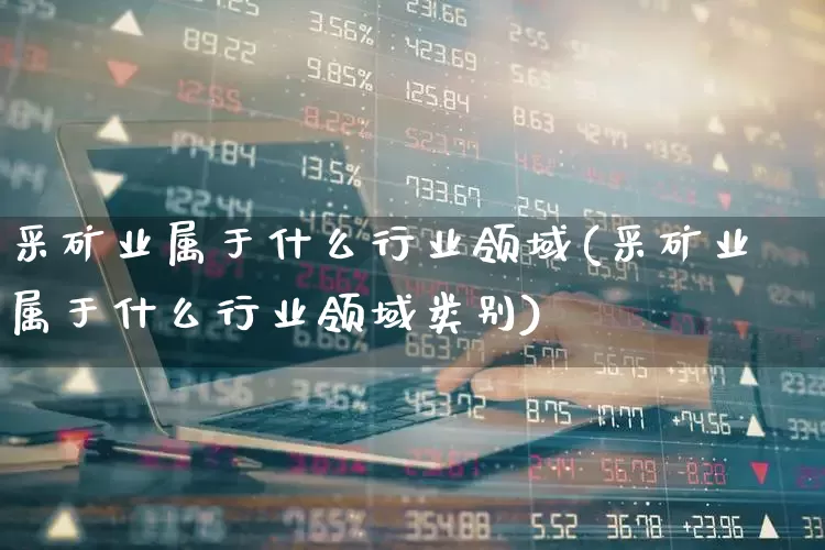 采矿业属于什么行业领域(采矿业属于什么行业领域类别)_https://www.hangfeite.com_深交所_第1张