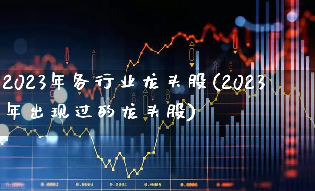 2023年各行业龙头股(2023年出现过的龙头股)_https://www.hangfeite.com_上交所_第1张