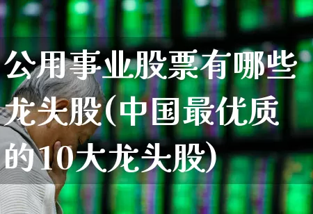 公用事业股票有哪些龙头股(中国最优质的10大龙头股)_https://www.hangfeite.com_北交所_第1张
