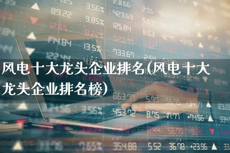 风电十大龙头企业排名(风电十大龙头企业排名榜)_https://www.hangfeite.com_深交所_第1张