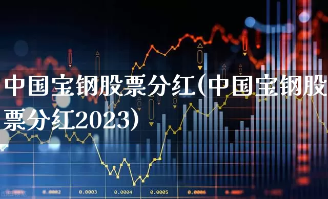 中国宝钢股票分红(中国宝钢股票分红2023)_https://www.hangfeite.com_科创板_第1张