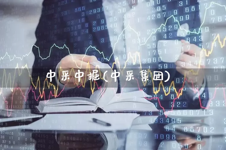 中采中掘(中采集团)_https://www.hangfeite.com_深交所_第1张