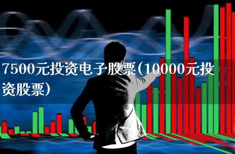 7500元投资电子股票(10000元投资股票)_https://www.hangfeite.com_深交所_第1张