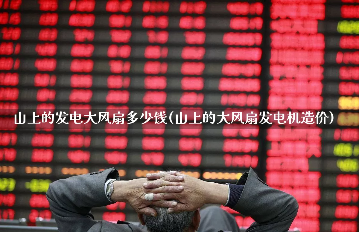 山上的发电大风扇多少钱(山上的大风扇发电机造价)_https://www.hangfeite.com_北交所_第1张