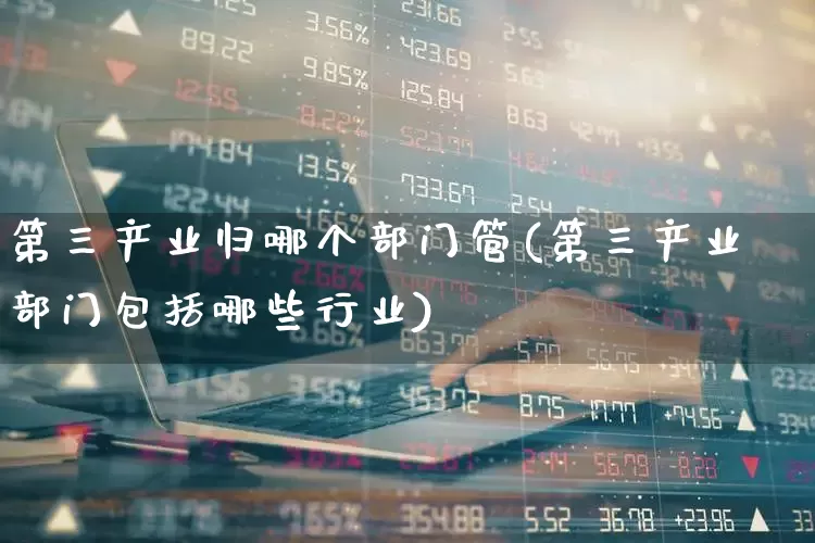 第三产业归哪个部门管(第三产业部门包括哪些行业)_https://www.hangfeite.com_北交所_第1张