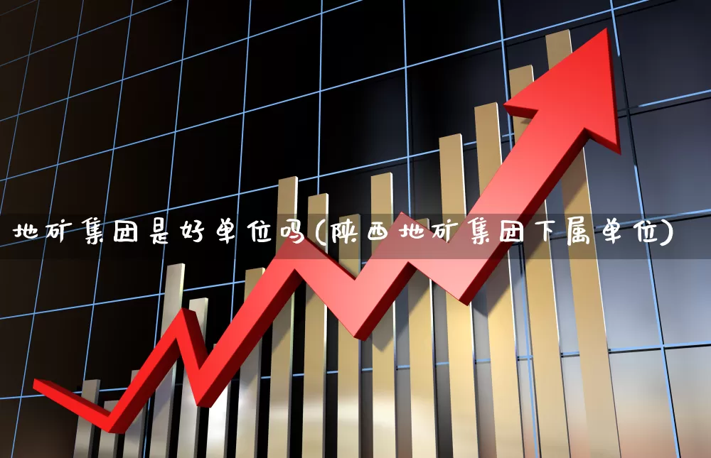 地矿集团是好单位吗(陕西地矿集团下属单位)_https://www.hangfeite.com_上交所_第1张