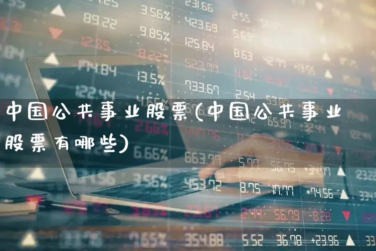 中国公共事业股票(中国公共事业股票有哪些)_https://www.hangfeite.com_深交所_第1张