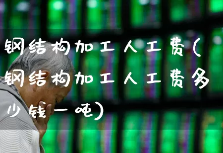 钢结构加工人工费(钢结构加工人工费多少钱一吨)_https://www.hangfeite.com_科创板_第1张