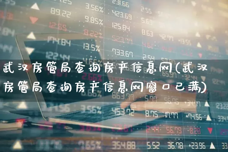 武汉房管局查询房产信息网(武汉房管局查询房产信息网窗口已满)_https://www.hangfeite.com_上交所_第1张