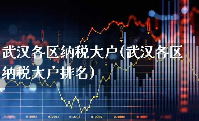 武汉各区纳税大户(武汉各区纳税大户排名)_https://www.hangfeite.com_北交所_第1张