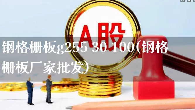 钢格栅板g255 30 100(钢格栅板厂家批发)_https://www.hangfeite.com_科创板_第1张