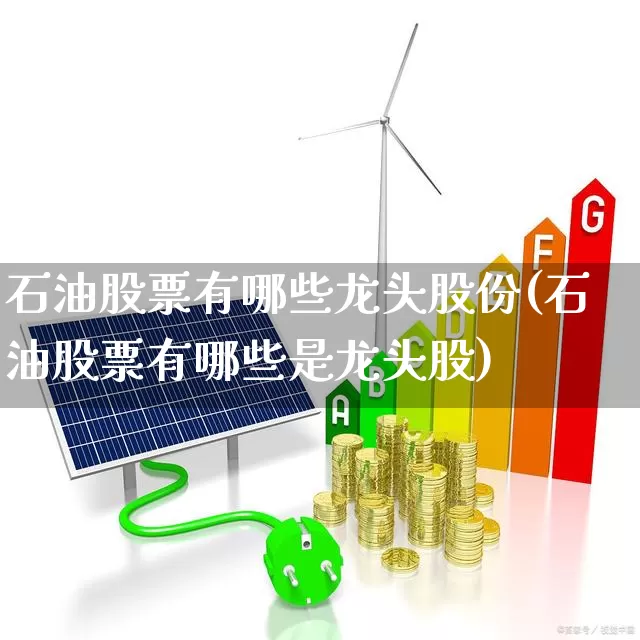 石油股票有哪些龙头股份(石油股票有哪些是龙头股)_https://www.hangfeite.com_创业板_第1张