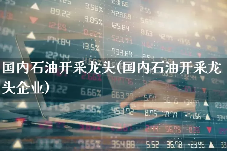 国内石油开采龙头(国内石油开采龙头企业)_https://www.hangfeite.com_北交所_第1张