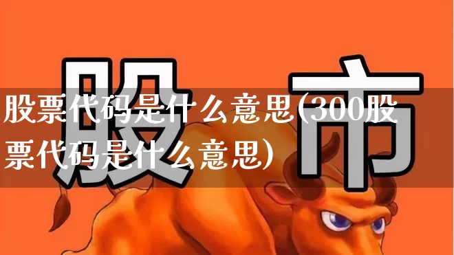股票代码是什么意思(300股票代码是什么意思)_https://www.hangfeite.com_北交所_第1张