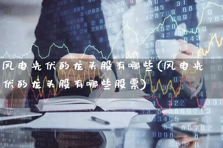 风电光伏的龙头股有哪些(风电光伏的龙头股有哪些股票)_https://www.hangfeite.com_深交所_第1张