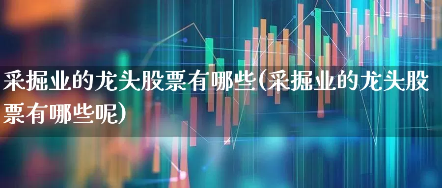 采掘业的龙头股票有哪些(采掘业的龙头股票有哪些呢)_https://www.hangfeite.com_深交所_第1张
