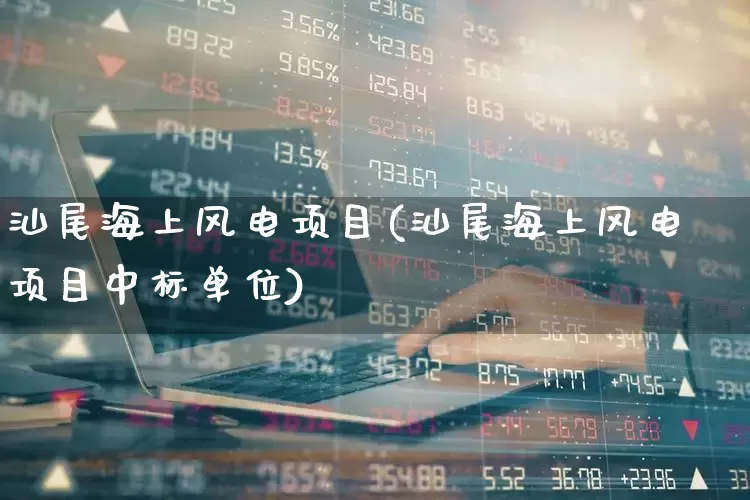 汕尾海上风电项目(汕尾海上风电项目中标单位)_https://www.hangfeite.com_北交所_第1张