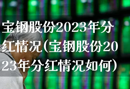 宝钢股份2023年分红情况(宝钢股份2023年分红情况如何)_https://www.hangfeite.com_北交所_第1张