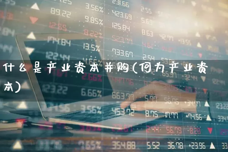 什么是产业资本并购(何为产业资本)_https://www.hangfeite.com_创业板_第1张