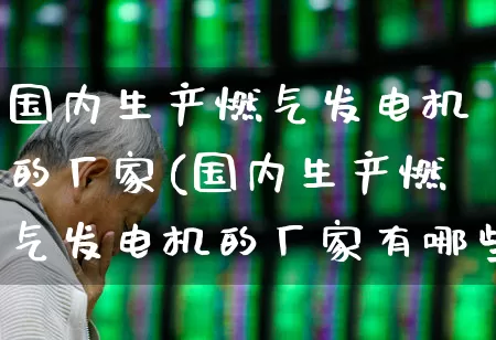 国内生产燃气发电机的厂家(国内生产燃气发电机的厂家有哪些)_https://www.hangfeite.com_科创板_第1张