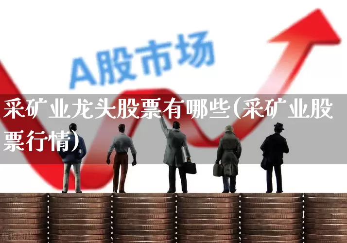 采矿业龙头股票有哪些(采矿业股票行情)_https://www.hangfeite.com_科创板_第1张