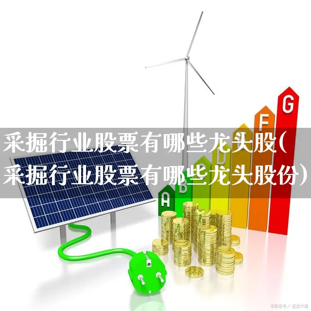 采掘行业股票有哪些龙头股(采掘行业股票有哪些龙头股份)_https://www.hangfeite.com_上交所_第1张