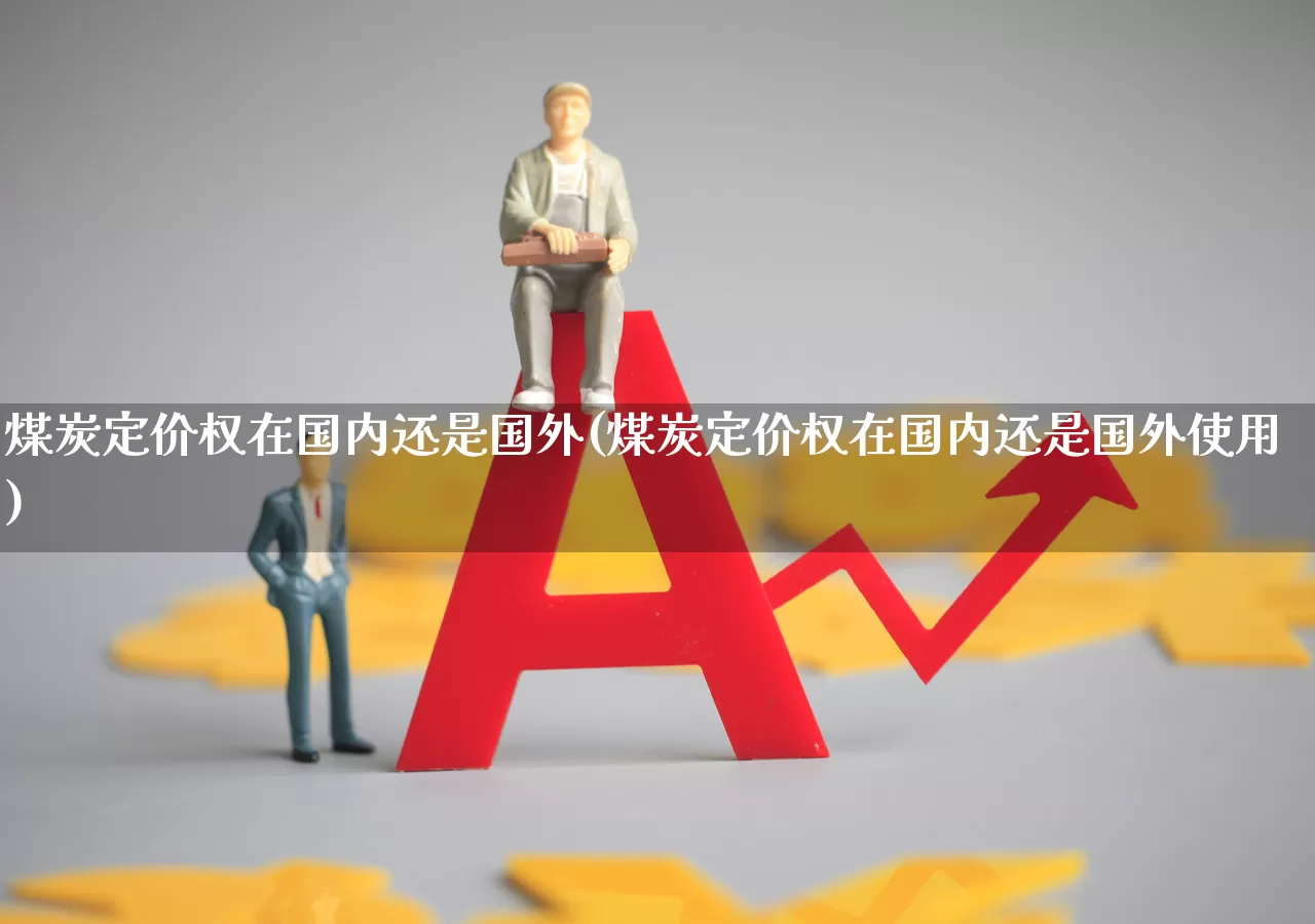 煤炭定价权在国内还是国外(煤炭定价权在国内还是国外使用)_https://www.hangfeite.com_上交所_第1张