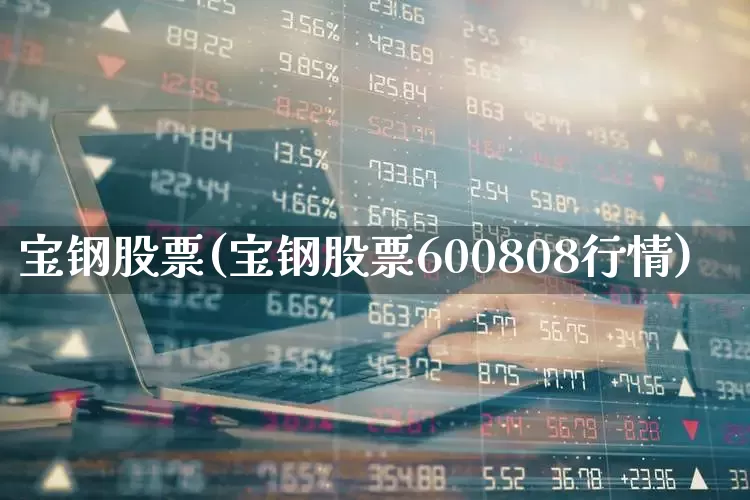 宝钢股票(宝钢股票600808行情)_https://www.hangfeite.com_科创板_第1张