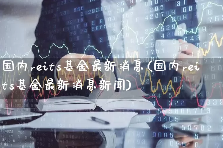 国内reits基金最新消息(国内reits基金最新消息新闻)_https://www.hangfeite.com_科创板_第1张