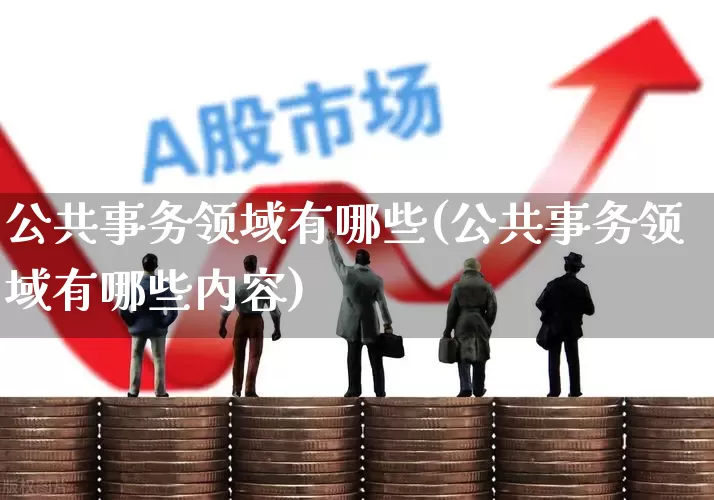 公共事务领域有哪些(公共事务领域有哪些内容)_https://www.hangfeite.com_上交所_第1张
