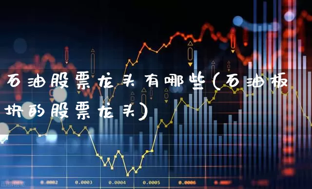 石油股票龙头有哪些(石油板块的股票龙头)_https://www.hangfeite.com_上交所_第1张