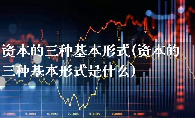 资本的三种基本形式(资本的三种基本形式是什么)_https://www.hangfeite.com_深交所_第1张