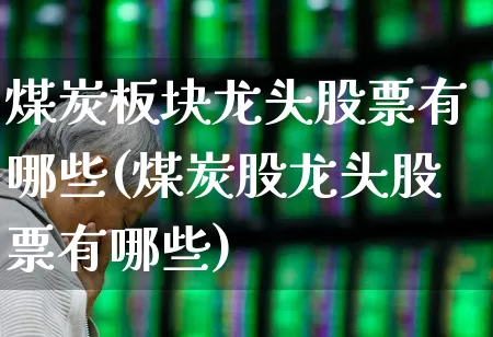 煤炭板块龙头股票有哪些(煤炭股龙头股票有哪些)_https://www.hangfeite.com_深交所_第1张