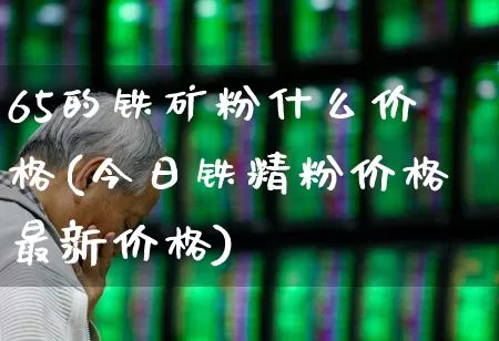 65的铁矿粉什么价格(今日铁精粉价格最新价格)_https://www.hangfeite.com_科创板_第1张