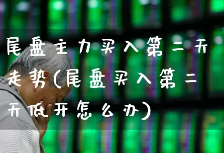 尾盘主力买入第二天走势(尾盘买入第二天低开怎么办)_https://www.hangfeite.com_深交所_第1张
