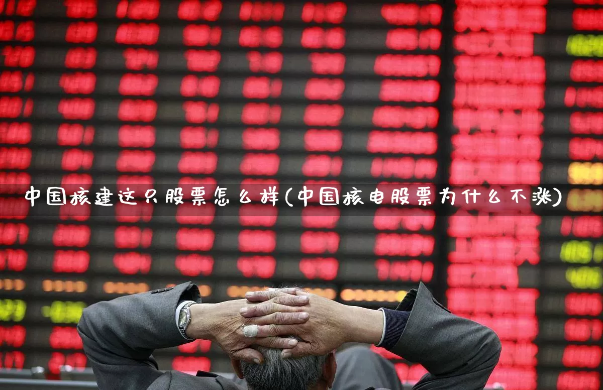 中国核建这只股票怎么样(中国核电股票为什么不涨)_https://www.hangfeite.com_科创板_第1张