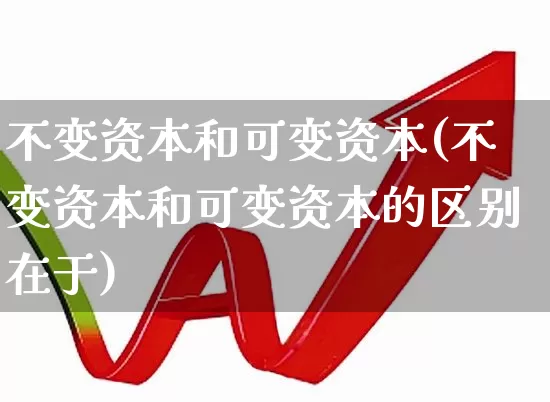 不变资本和可变资本(不变资本和可变资本的区别在于)_https://www.hangfeite.com_科创板_第1张