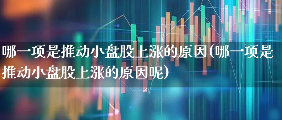 哪一项是推动小盘股上涨的原因(哪一项是推动小盘股上涨的原因呢)_https://www.hangfeite.com_深交所_第1张